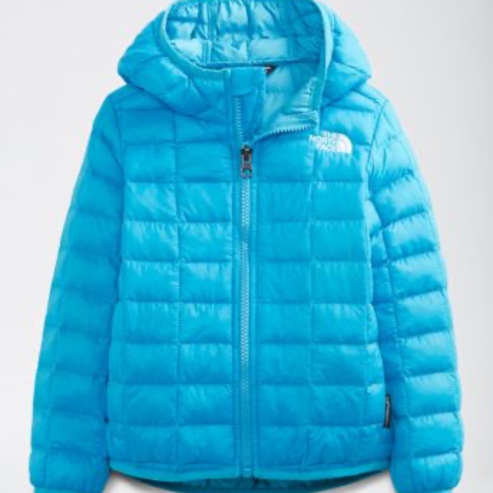 Northface ThermoBall Hooded Jacket